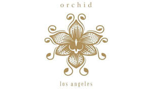 Orchid Vapor